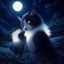 用户nocturn_fan头像，夜猫子风格的深色系头像